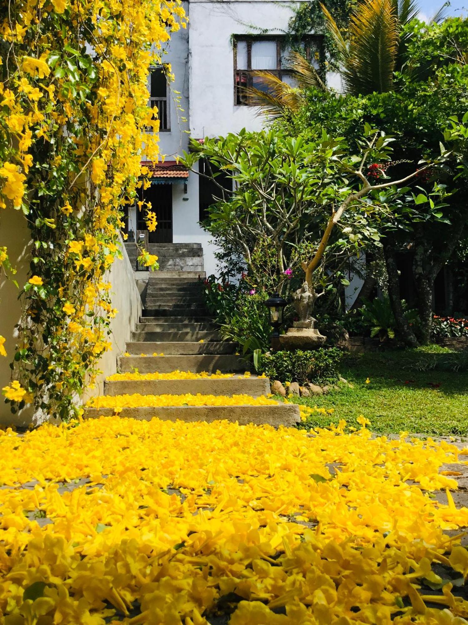 Goddess Kandy Exterior foto